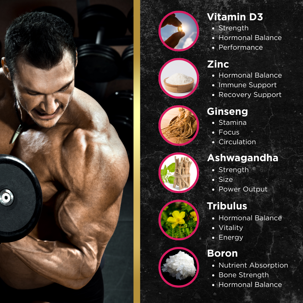 Men's Burn & Build System — by UNALTERED